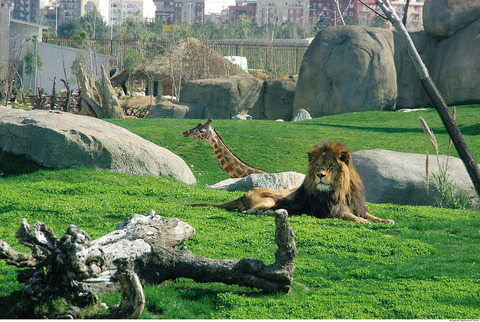 Bioparc_Valencia.jpg