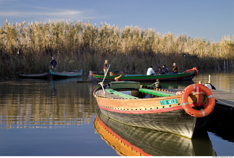 El_Parque_Natural_de_la_Albufera.jpg